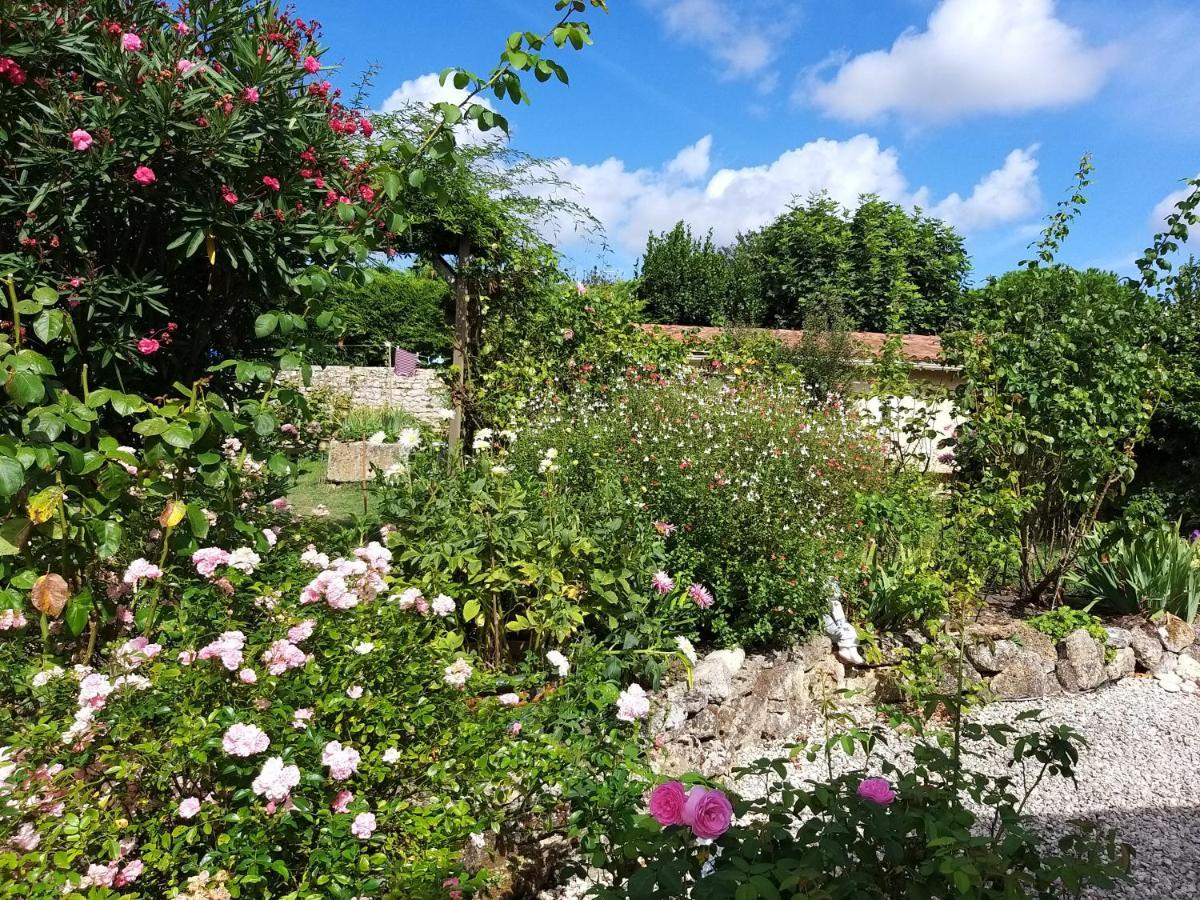 Maison Althea Rosea - 3 Chambres Et Piscine Nieulle-sur-Seudre エクステリア 写真